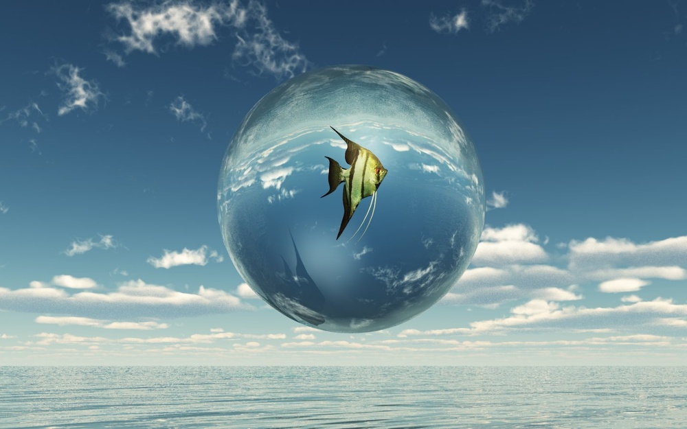 3D Grafik Fisch in Glaskugel Meer Blauer Himmel