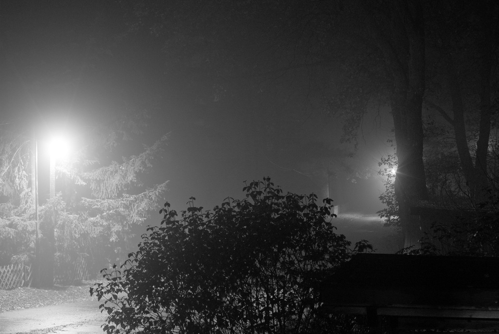 Dichter Nebel in Eickeloh schwarz-weiss