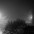 Dichter Nebel in Eickeloh schwarz-weiss