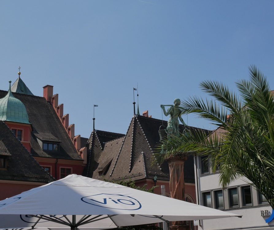 Freiburg im Breisgau Palme mediterranes Lebensgefühl