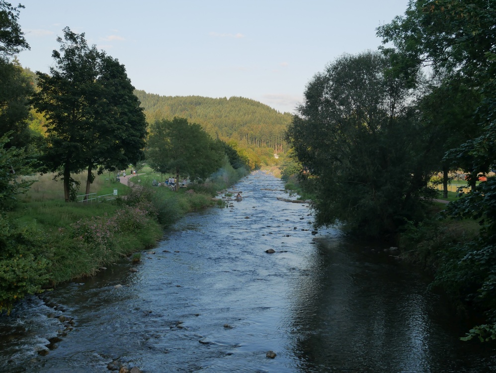 Freiburg im Breisgau Fluss Dreisam Richtung Westen