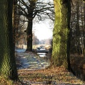 Eickeloh bei Walsrode im Winter Baum Allee Bach